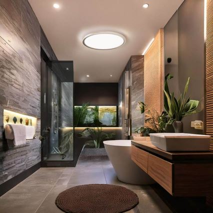 Plafonnier LED ACATE pour salle de bains, 24 W, 230 V, 3000/4000/6000 K, Ø 29,3 cm, IP54