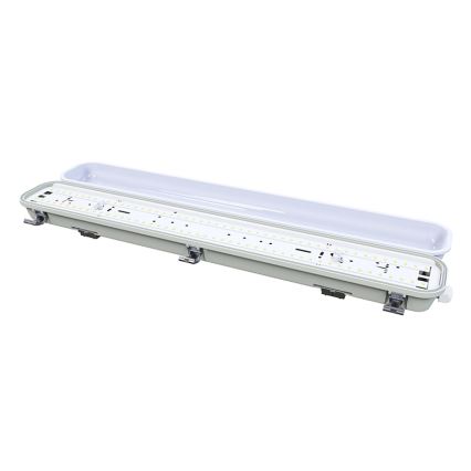 Lumière LED industrielle LED/50W/230V 4000K IP65