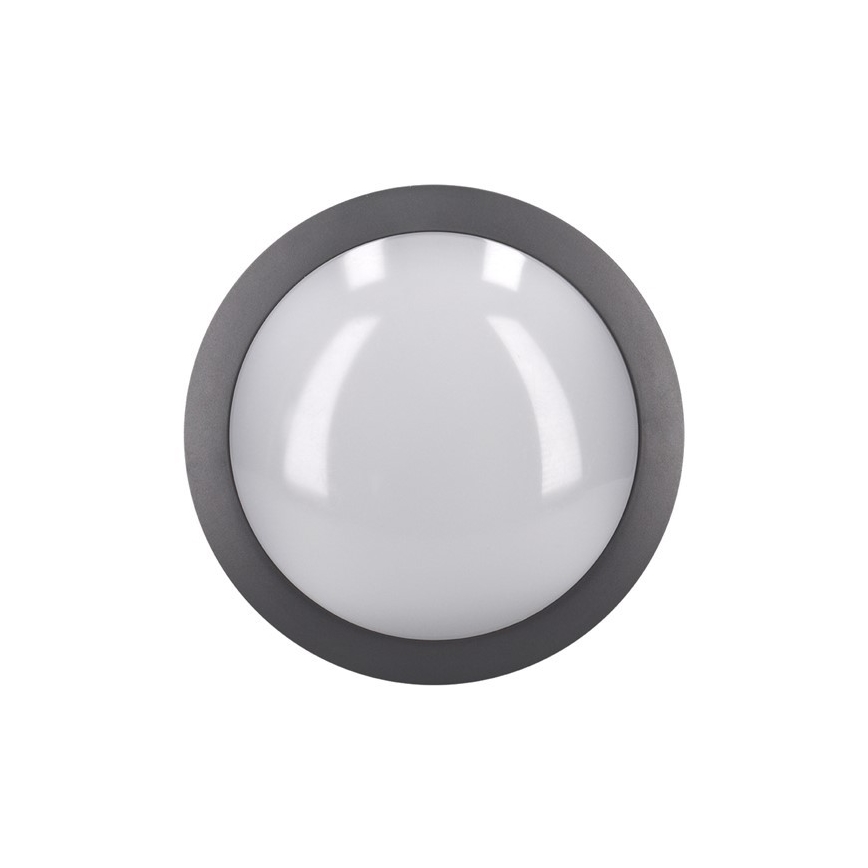 LED Plafondverlichting voor buiten LED / 13W / 230V IP54 antraciet