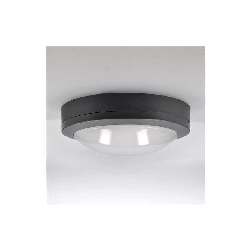 LED Plafondverlichting voor buiten LED / 13W / 230V IP54 antraciet