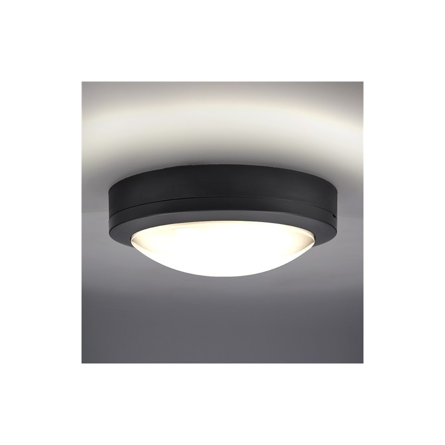 LED Plafondverlichting voor buiten LED / 13W / 230V IP54 antraciet