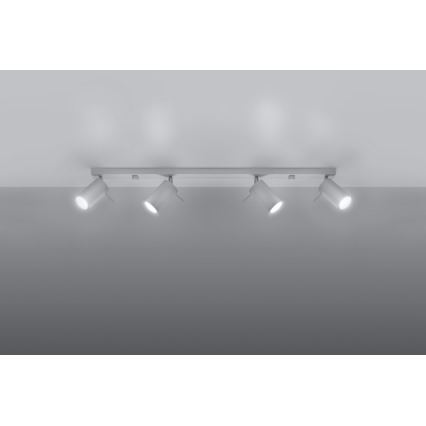 Spot RING 4L 4xGU10/10W/230V wit