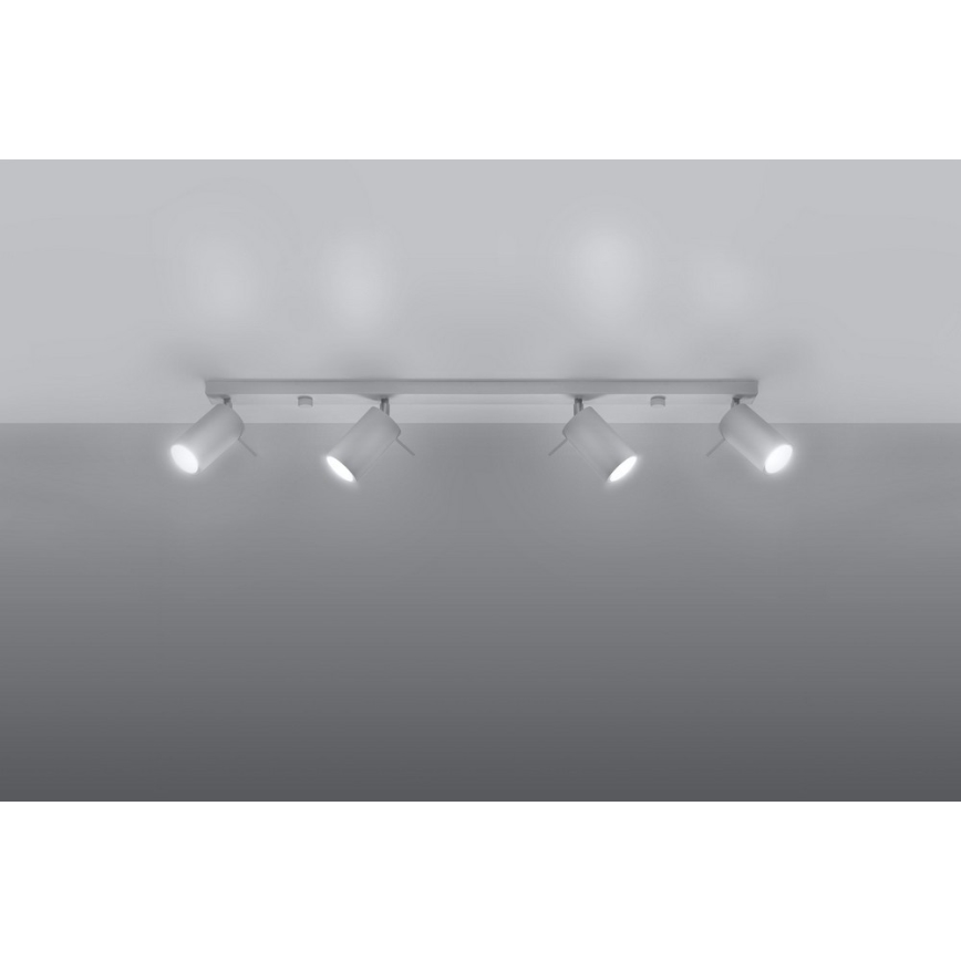 Spot RING 4L 4xGU10/10W/230V wit
