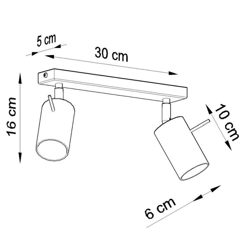 Plafondspot RING 2xGU10/10W/230V