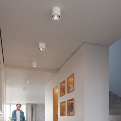 Spot KALU 1xGU10/ES111/40W/230V