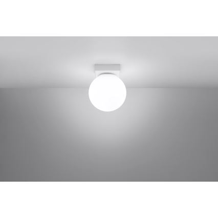 Plafondlamp YOLI 1xG9/12W/230V wit