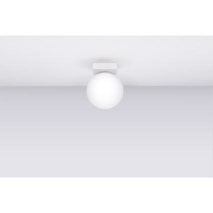 Plafonnier YOLI 1xG9/12W/230V blanc