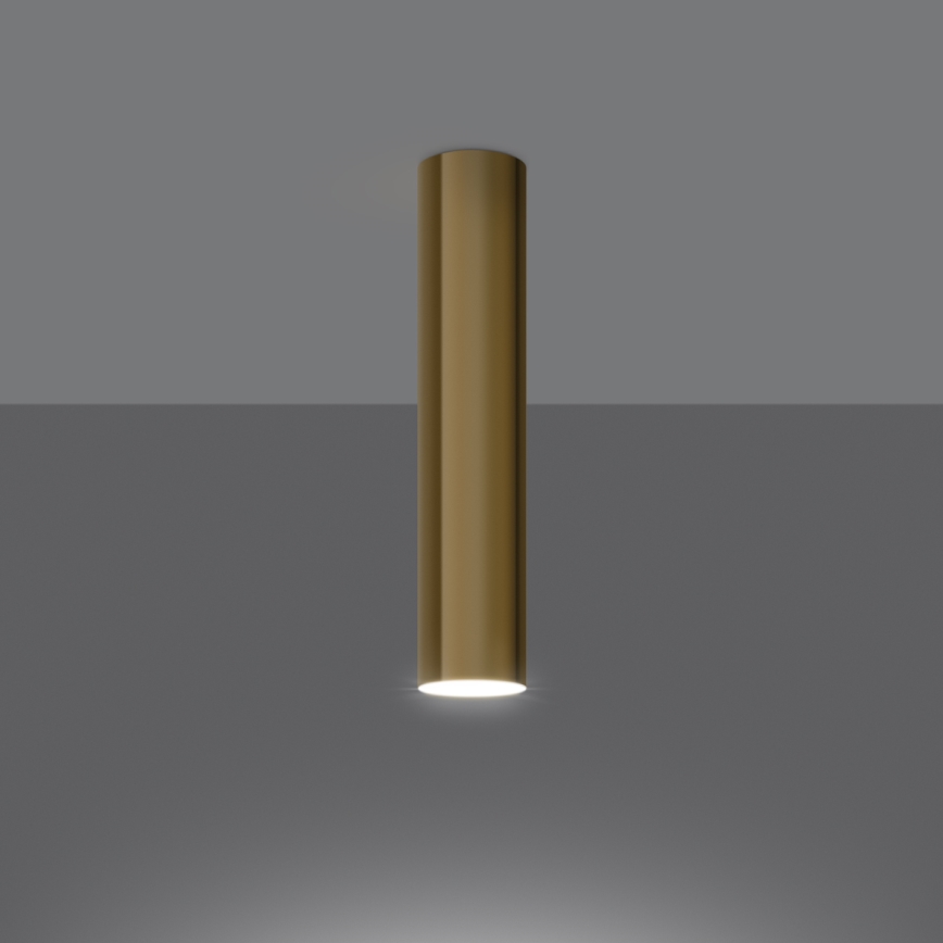 Spot LAGOS 1xGU10/10W/230V 30 cm goud