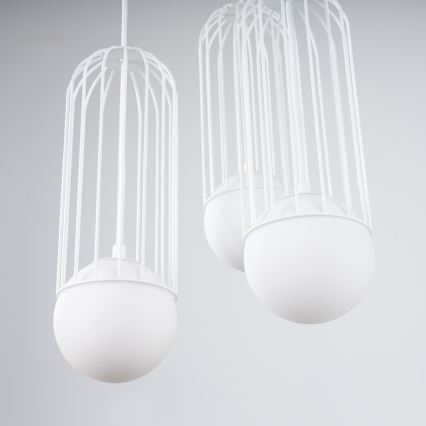 Hanglamp aan een koord BRINA 3xG9/8W/230V wit