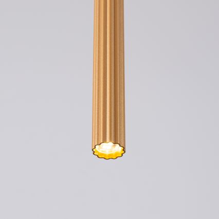 Suspension filaire ARCHE 1xG9/8W/230V doré