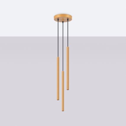 Hanglamp aan een koord ARCHE 3xG9/8W/230V goud