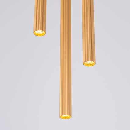 Hanglamp aan een koord ARCHE 3xG9/8W/230V goud