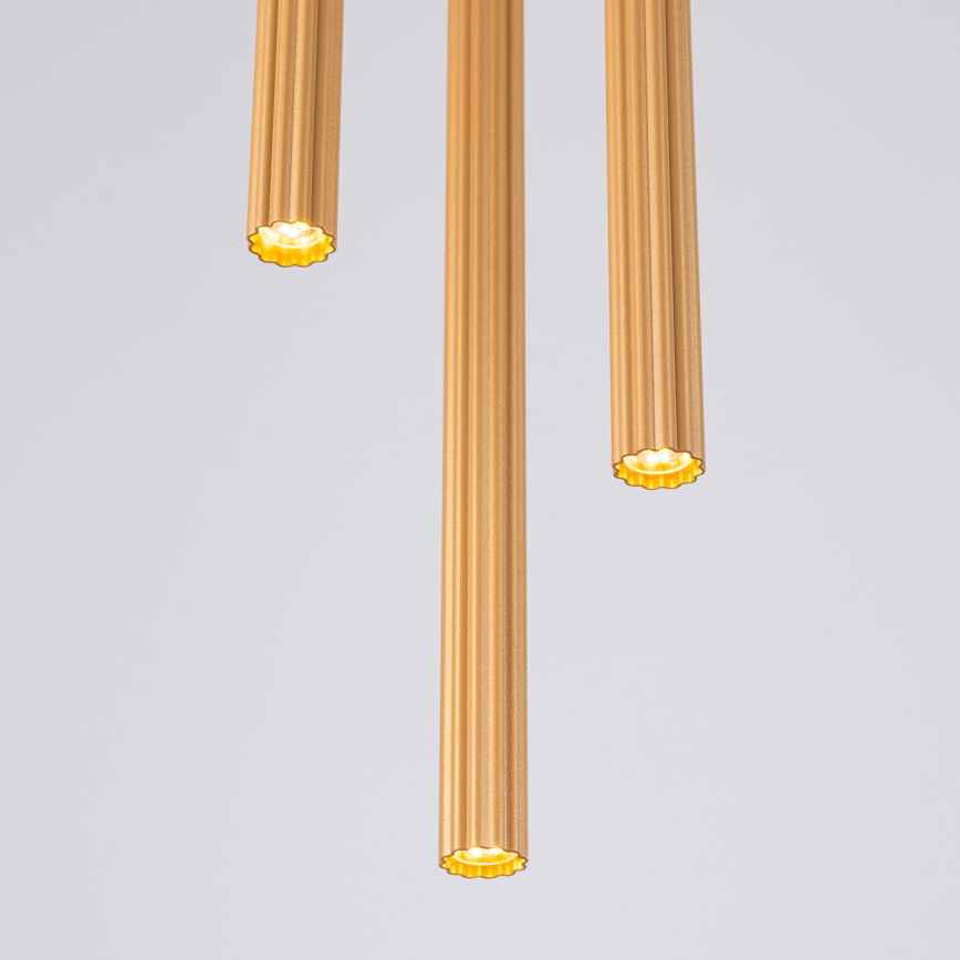 Hanglamp aan een koord ARCHE 3xG9/8W/230V goud