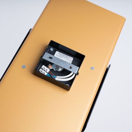 Applique murale DURLIN 2xG9/8W/230V doré/noir