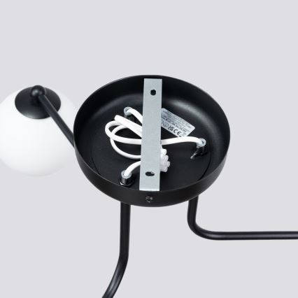 Hanglamp met vaste pendel ASTRAL 3xG9/8W/230V zwart