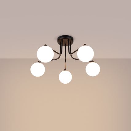 Hanglamp met vaste pendel ASTRAL 5xG9/8W/230V zwart