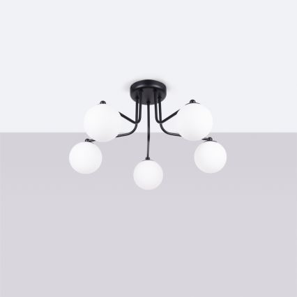 Hanglamp met vaste pendel ASTRAL 5xG9/8W/230V zwart