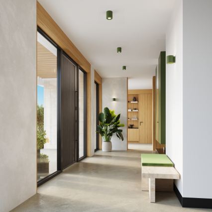 Spot ORBIS 1xGU10/10W/230V béton/vert