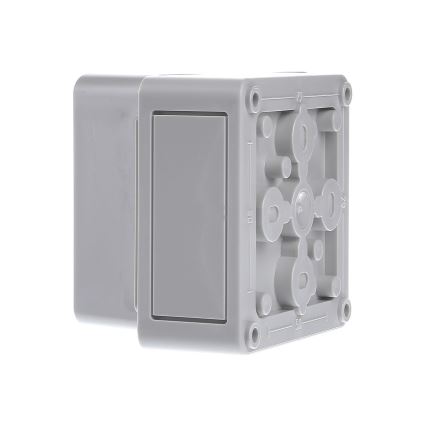 Spelsberg 11090301 - Technische Doos TK PS 99-8-o IP66