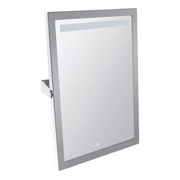 Spiegel 40x60 cm RVS/zilver