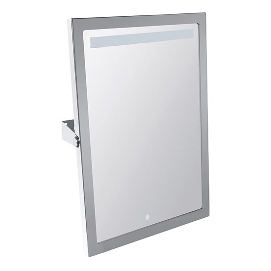 Spiegel 40x60 cm RVS/zilver