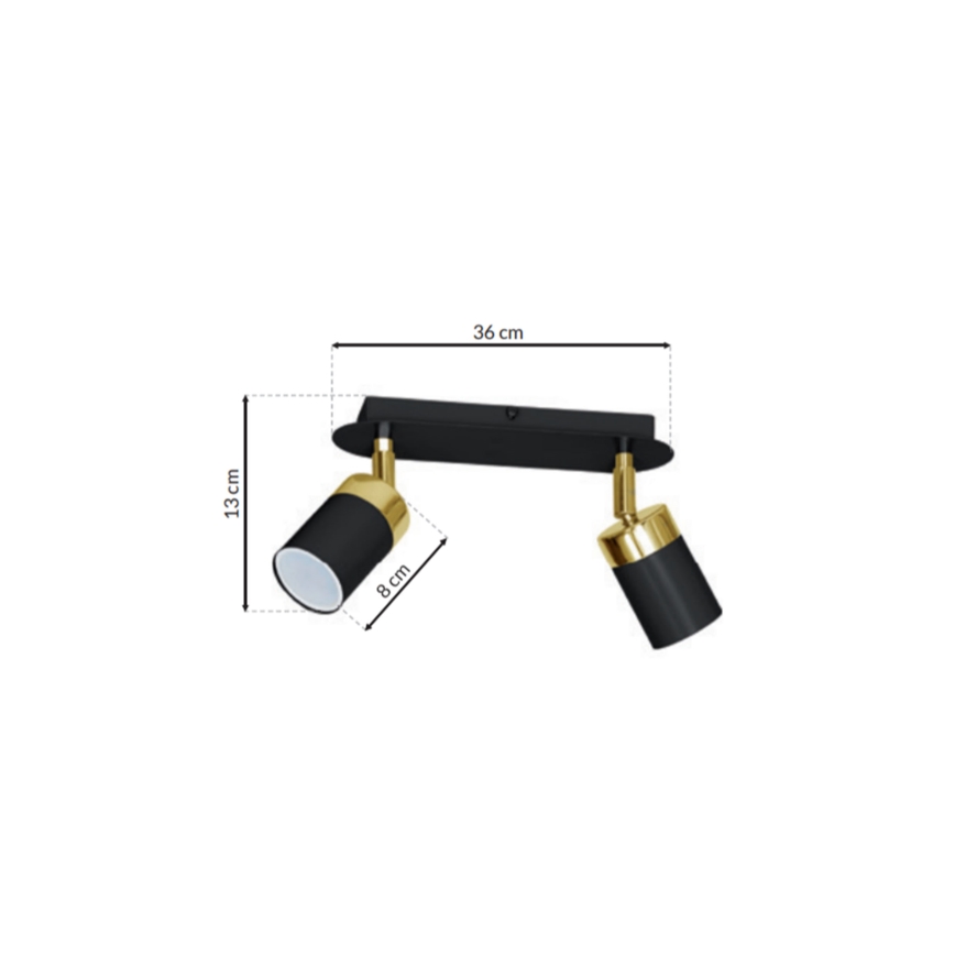 Spot de plafond JOKER 2xGU10/25W/230V noir