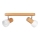 Spot de plafond NEL 2xE27/15W/230V pin