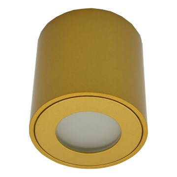 Spot d'extérieur FARA 1x GU10/30W/230V IP54 doré