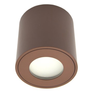 Spot d'extérieur FARA 1xGU10/30W/230V IP54 marron
