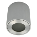 Spot extérieur FARA 1xGU10/30W/230V IP54 argenté