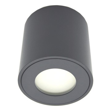 Spot extérieur FARA 1xGU10/30W/230V IP54 noir