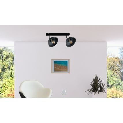 Spot FAUN 2xE27/60W/230V zwart
