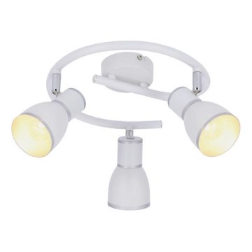 Spot  FIDO 3xE14/40W/230V wit