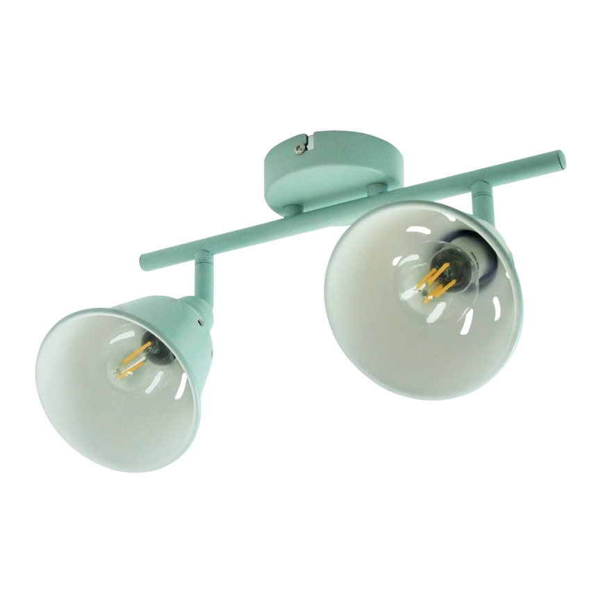 Spot FIONA 2xE14/8W/230V groen