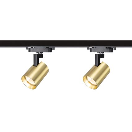 Spot in een rail systeem VOLF 4xGU10/10W/230V goud/zwart