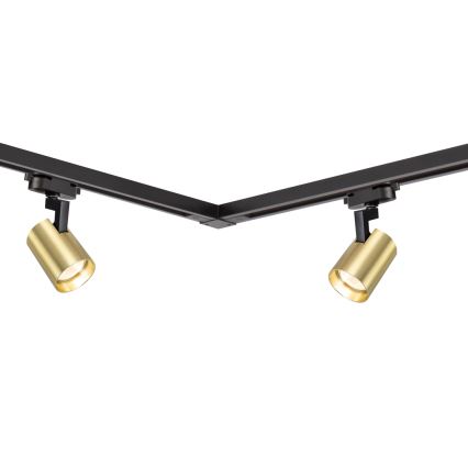 Spot in een rail systeem VOLF 4xGU10/10W/230V goud/zwart