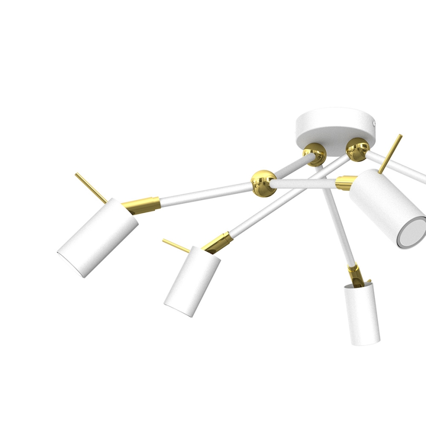 Spot IRIS 6xGU10/MR11/40W/230V wit/goud