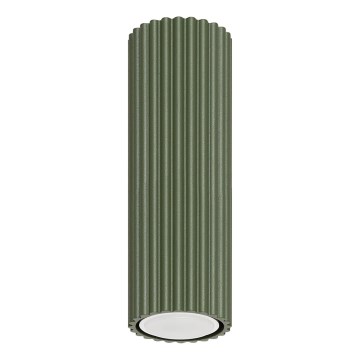 Spot KARBON 1xGU10/10W/230V 20 cm groen