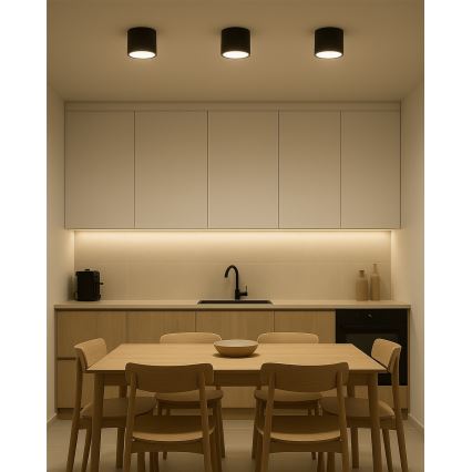 Spot LED 10W/230V 3000/4000/6400K Ø 12 cm noir