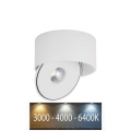Spot LED/28W/230V 3000/4000/6400K CRI 90 blanc