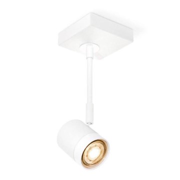 Spot LED à intensité variable MANU 1xGU10/5,8W/230V blanc