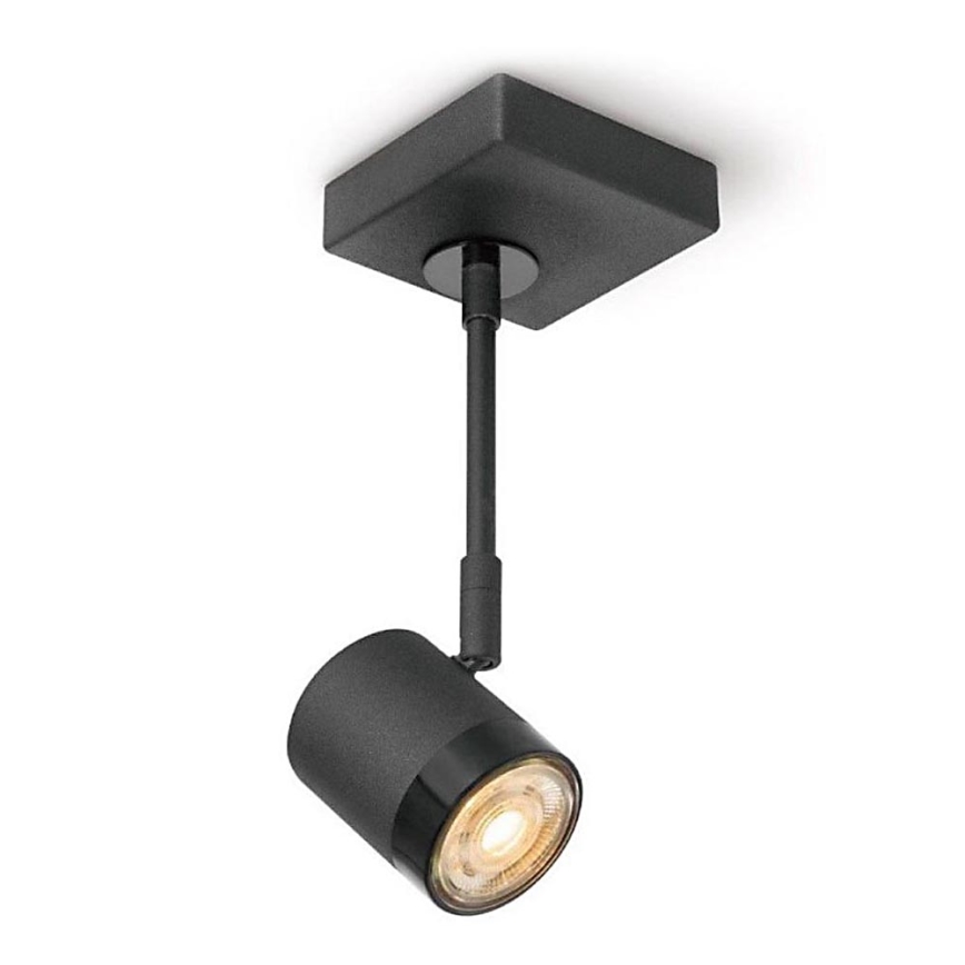 Spot LED Mural à Piles Avec Télécommande - 4000K, Tête Pivotante, Intensité Variable - Pour Vitrine, Illustration, Décoration - 3