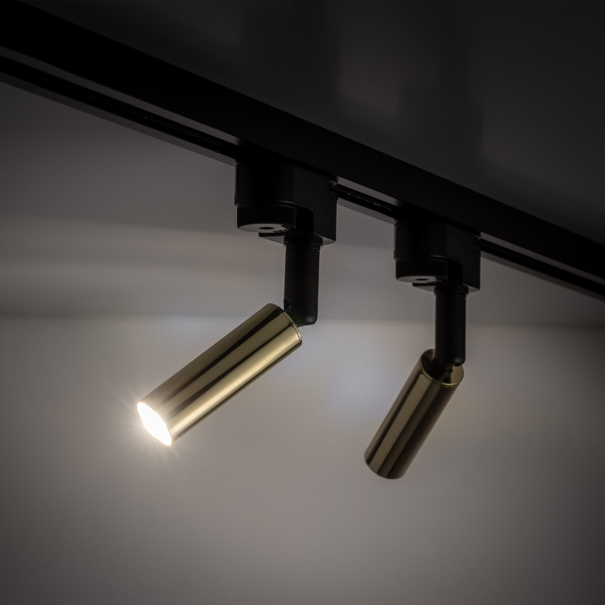 Spot LED pour système de rail monophasé LAGOS 1xG9/3W/230V doré/noir