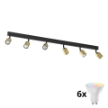 Spot LED RGBW dimmable TOP 6xGU10/6,5W/230V 2700-6500K doré/noir
