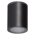 Spot LED salle de bain AQILO 1xGU10/7W/230V IP65 noir