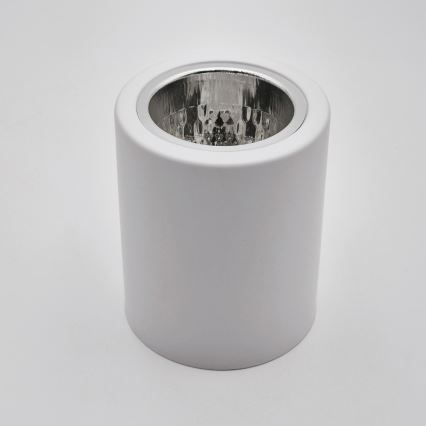 Spot LED TACO 1xE27/15W/230V blanc