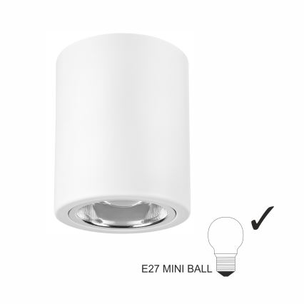 Spot LED TACO 1xE27/15W/230V blanc
