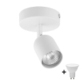 Spot LED TOP 1xGU10/10W/230V blanc