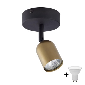 Spot LED TOP 1xGU10/10W/230V doré/noir
