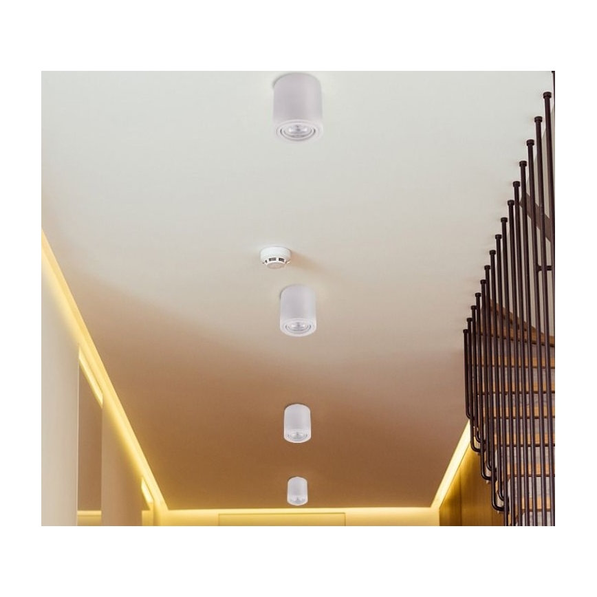 Spot LED TUBA 1xGU10/5W/230V 4000K blanc